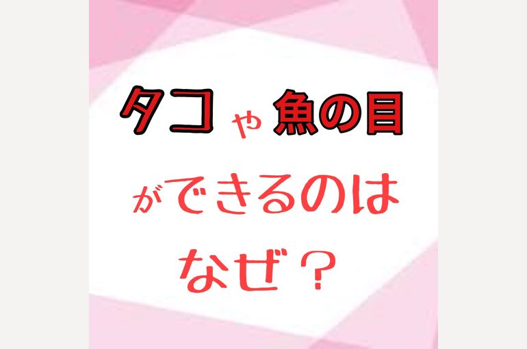 F927E7BA-CB12-4C1D-9EF5-E2C4DBE5C972