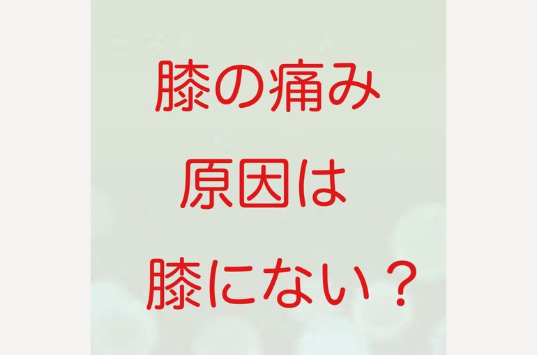 56932324-9A61-42E2-AB58-EFA7A06B463A