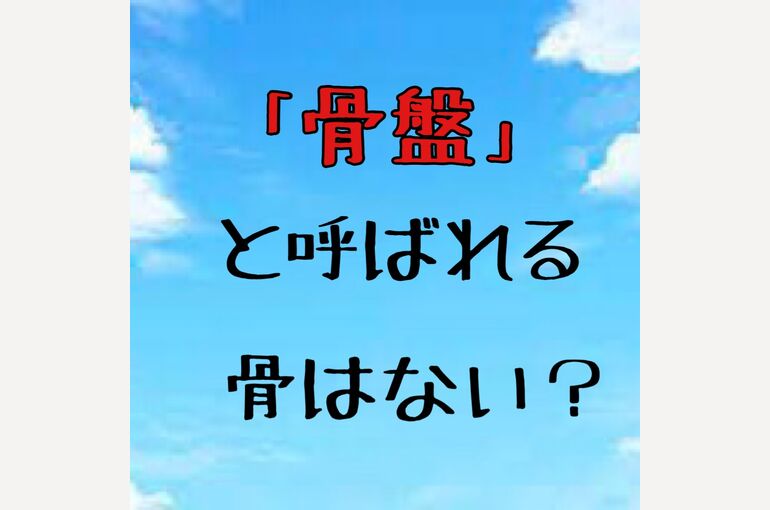 77A0D24A-8DD5-4D3D-86FF-12FDC2AA23A1
