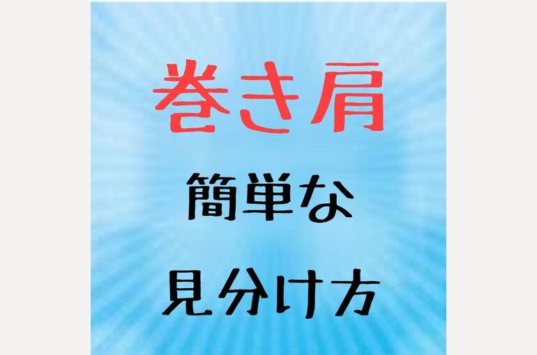 601A0030-79A1-43F1-9B3A-7D616670472A