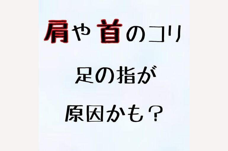 C72468B1-5442-449F-9886-D7C1DDF944ED