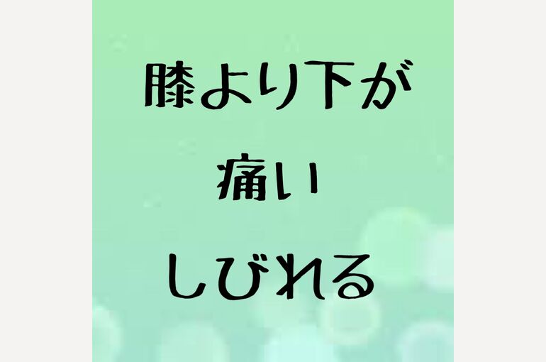 D969F6B9-5B96-40A8-BDD0-2FFCEE8D206C